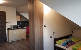 Room With A High Tatras View And Fireplace